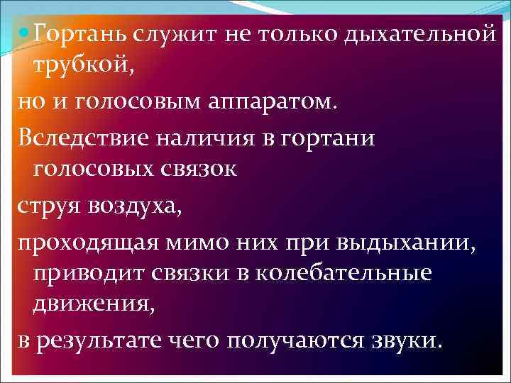  Гортань служит не только дыхательной трубкой, но и голосовым аппаратом. Вследствие наличия в