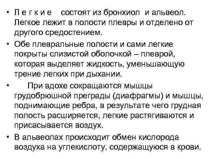  • Л е г к и е состоят из бронхиол и альвеол. Легкое
