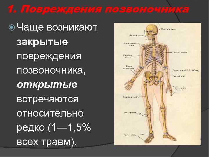 1. Повреждения позвоночника Чаще возникают закрытые повреждения позвоночника, открытые встречаются относительно редко (1— 1,