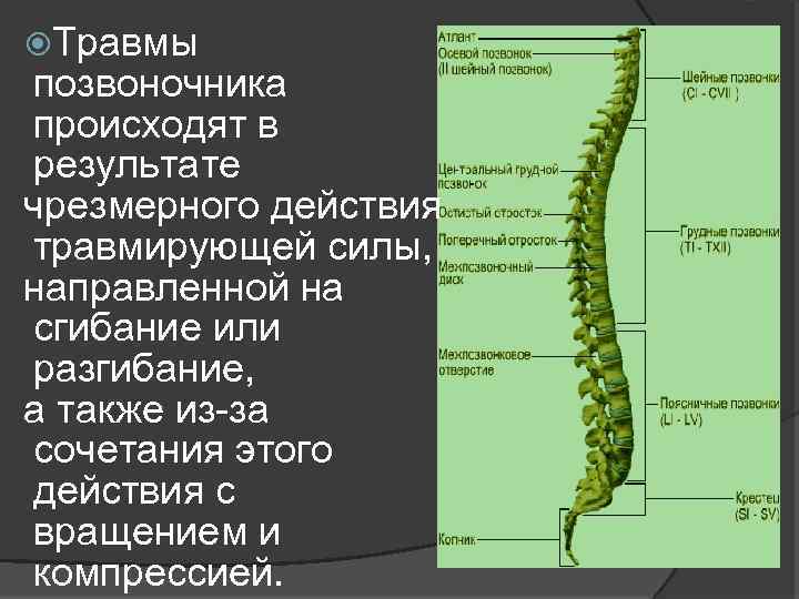  Травмы позвоночника происходят в результате чрезмерного действия травмирующей силы, направленной на сгибание или