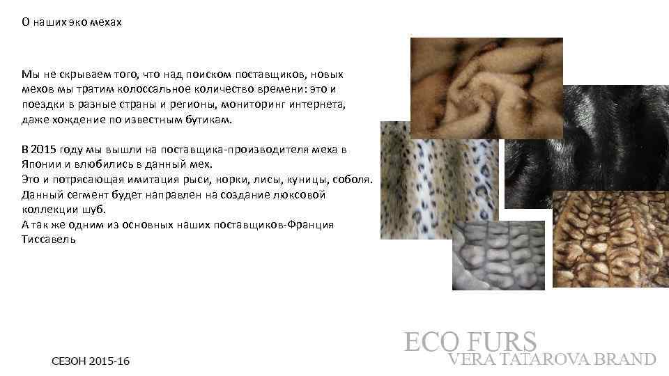 О наших эко мехах Мы не скрываем того, что над поиском поставщиков, новых мехов