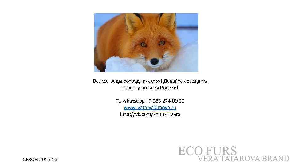 Всегда рады сотрудничеству! Давайте создадим красоту по всей России! T. , whatsapp +7 985