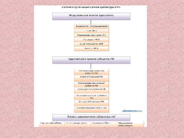 Система адвокатуры схема