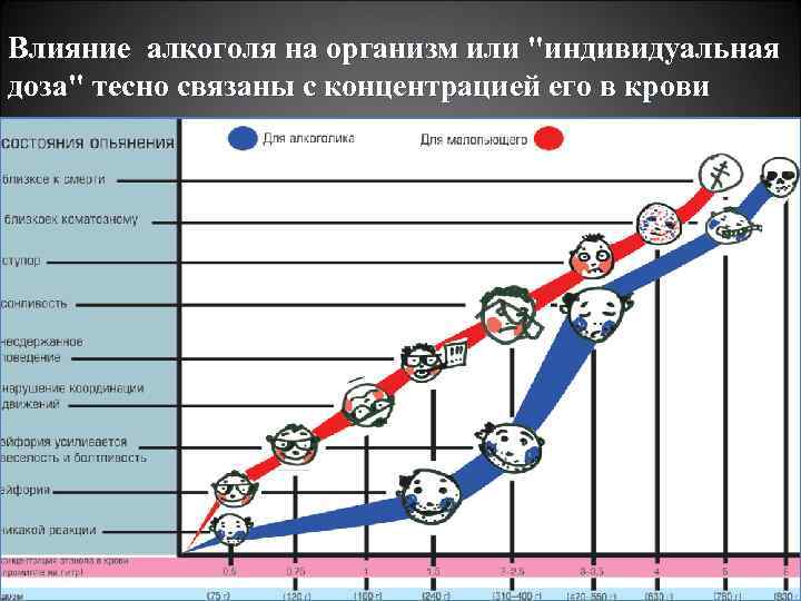 Влияние алкоголя на организм или 