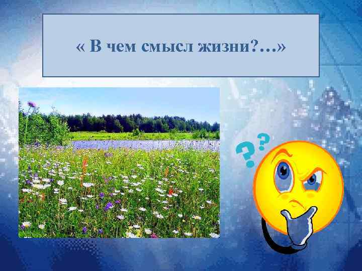  « В чем смысл жизни? …» 