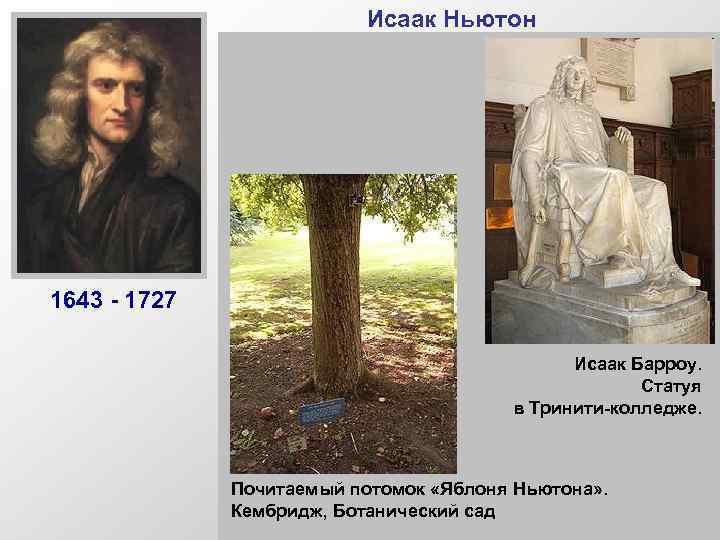 1643 - 1727 Исаак Ньютон Английский физик и математик. Создал современную механику (законы Ньютона)и