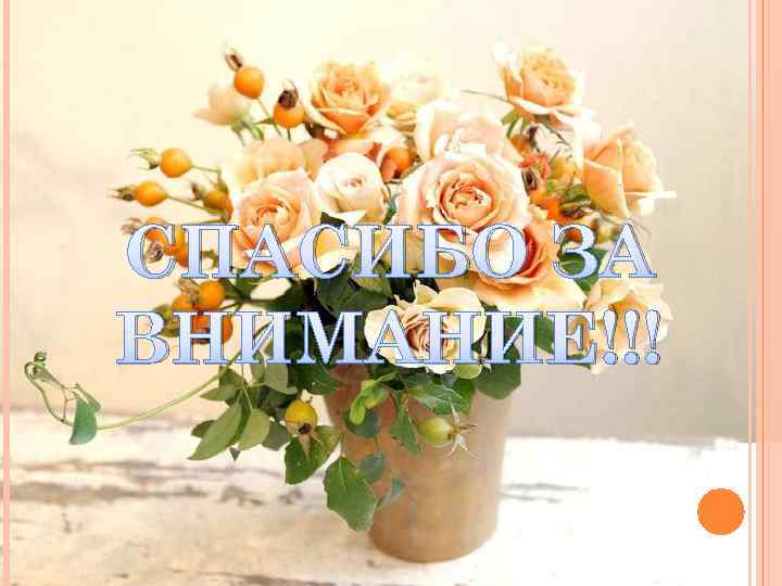 СПАСИБО ЗА ВНИМАНИЕ!!! 