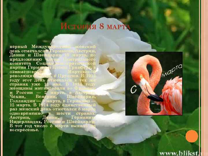 ИСТОРИЯ 8 МАРТА первый Международный женский день отмечался в Германии, Австрии, Дании и Швейцарии