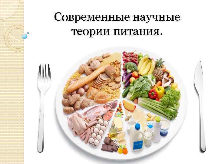 Современные научные теории питания. 