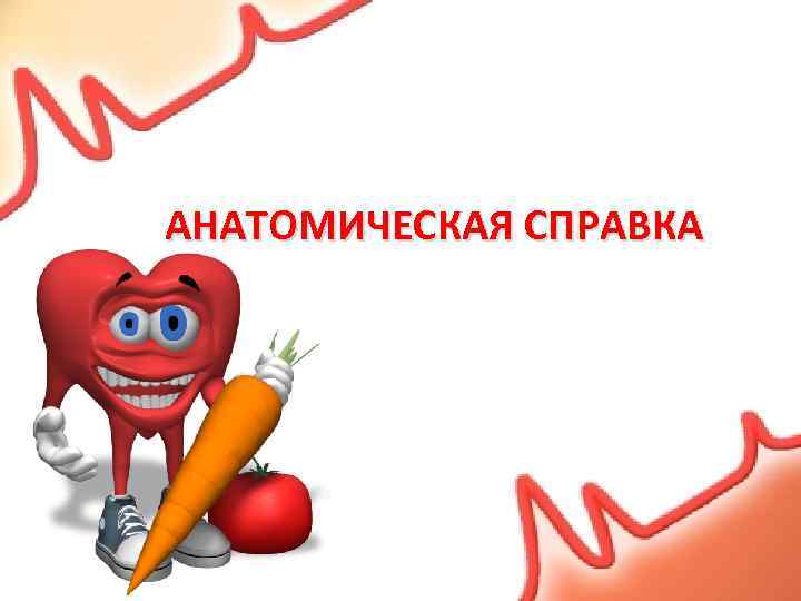 АНАТОМИЧЕСКАЯ СПРАВКА 
