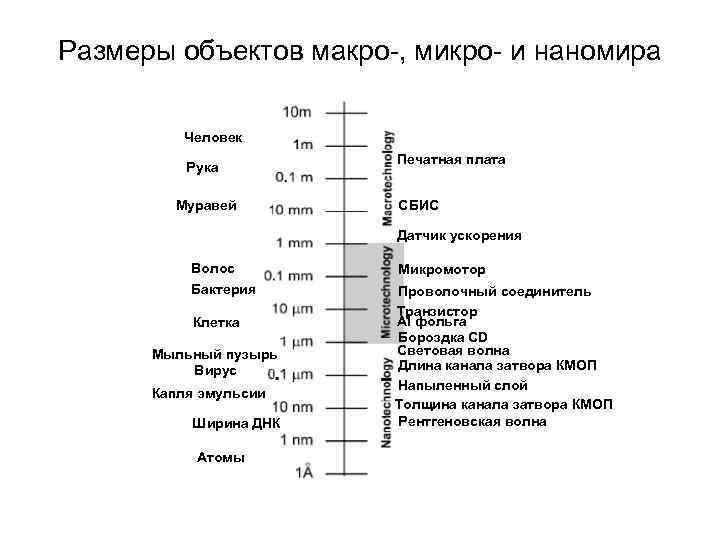 Размеры объектов макро-, микро- и наномира Человек Рука Муравей Печатная плата СБИС Датчик ускорения