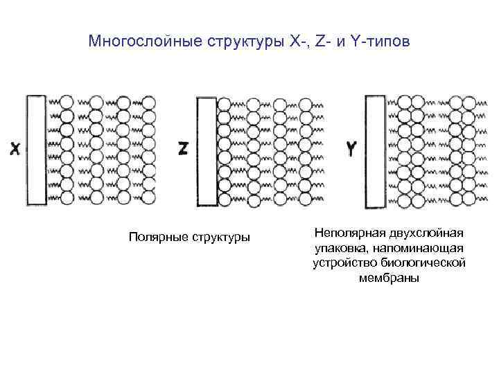 Многослойные структуры X-, Z- и Y-типов Полярные структуры Неполярная двухслойная упаковка, напоминающая устройство биологической