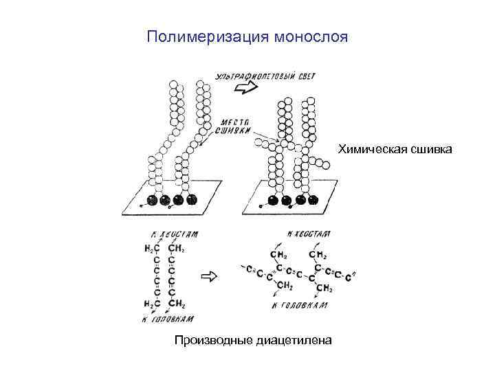 Полимеризация монослоя Химическая сшивка Производные диацетилена 