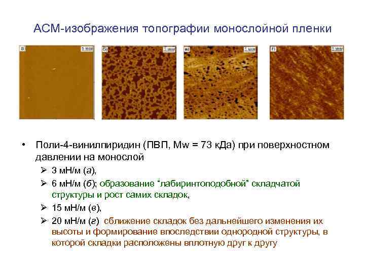 АСМ-изображения топографии монослойной пленки • Поли-4 -винилпиридин (ПВП, Mw = 73 к. Да) при