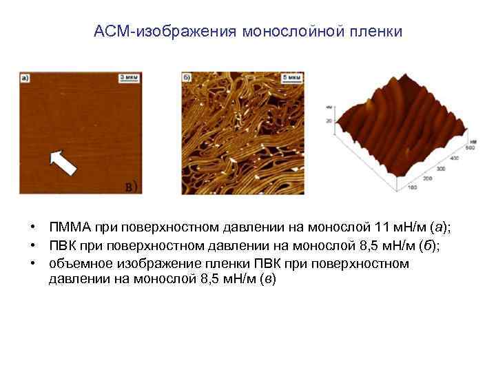 АСМ-изображения монослойной пленки • ПММА при поверхностном давлении на монослой 11 м. Н/м (а);