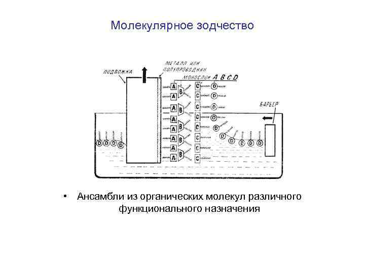 Молекулярное зодчество • Ансамбли из органических молекул различного функционального назначения 