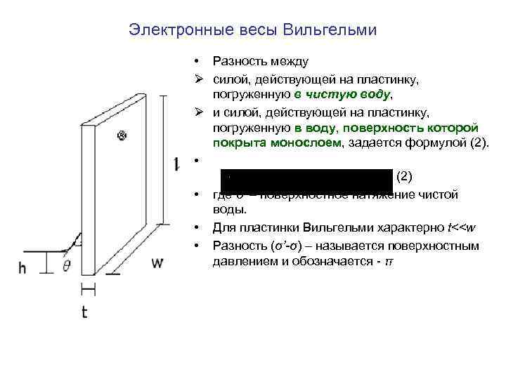 Электронные весы Вильгельми • Разность между Ø силой, действующей на пластинку, погруженную в чистую