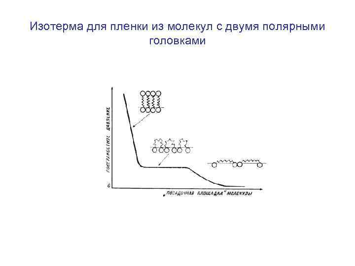 Изотерма для пленки из молекул с двумя полярными головками 