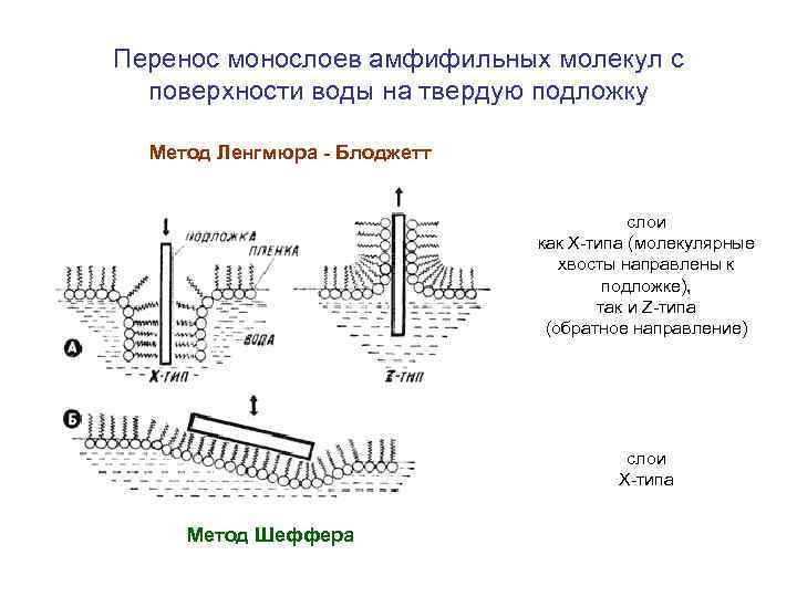 Перенос монослоев амфифильных молекул с поверхности воды на твердую подложку Метод Ленгмюра - Блоджетт