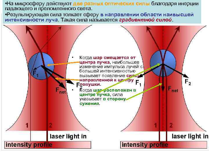  • На микросферу действуют две разных оптических силы благодаря инерции падающего и преломленного