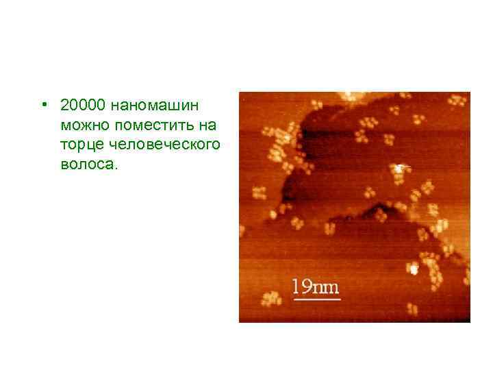  • 20000 наномашин можно поместить на торце человеческого волоса. 