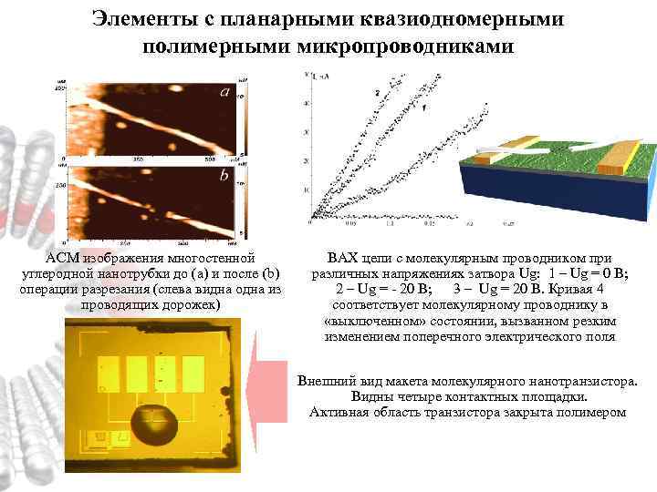 Элементы с планарными квазиодномерными полимерными микропроводниками АСМ изображения многостенной углеродной нанотрубки до (a) и