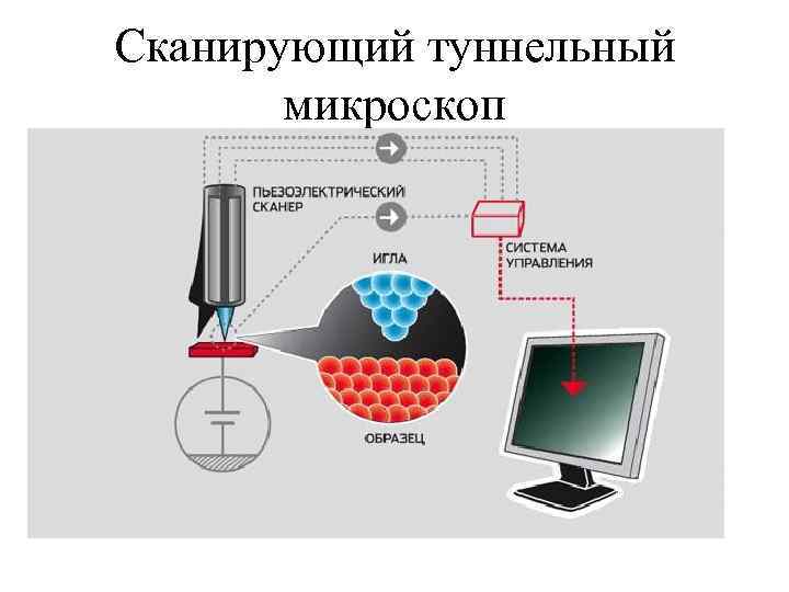 Сканирующий туннельный микроскоп 