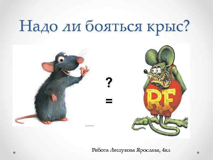Почему крысы боятся. Крыса на работе. Фразеологизмы про крыс. Крыса в коллективе.
