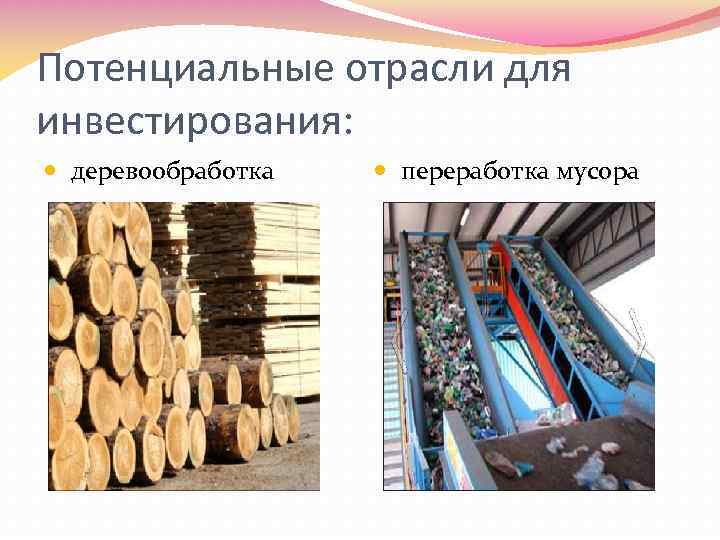 Потенциальные отрасли для инвестирования: деревообработка переработка мусора 