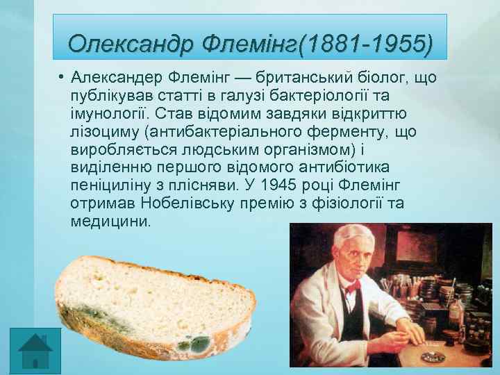 Олександр Флемінг(1881 -1955) • Александер Флемінг — британський біолог, що публікував статті в галузі