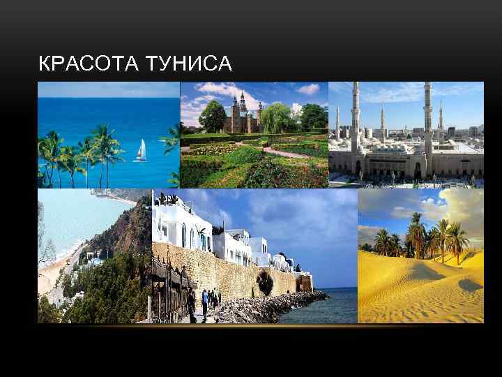КРАСОТА ТУНИСА 
