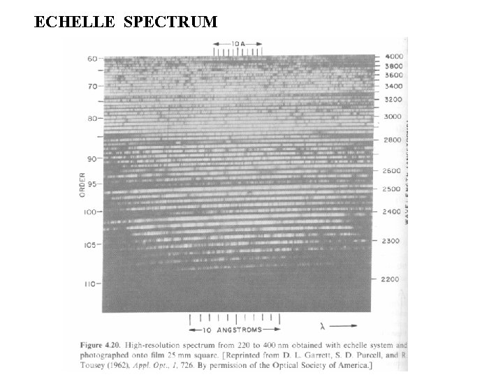 ECHELLE SPECTRUM 