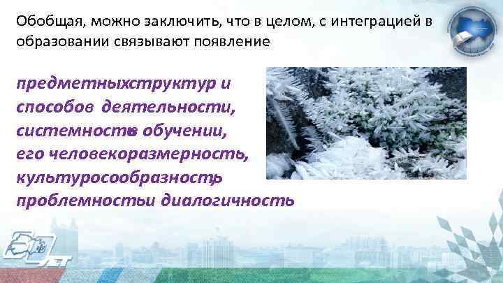 Обобщая, можно заключить, что в целом, с интеграцией в образовании связывают появление предметных труктур