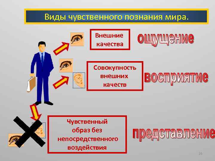 Виды чувственного познания мира. Внешние качества Совокупность внешних качеств Чувственный образ без непосредственного воздействия