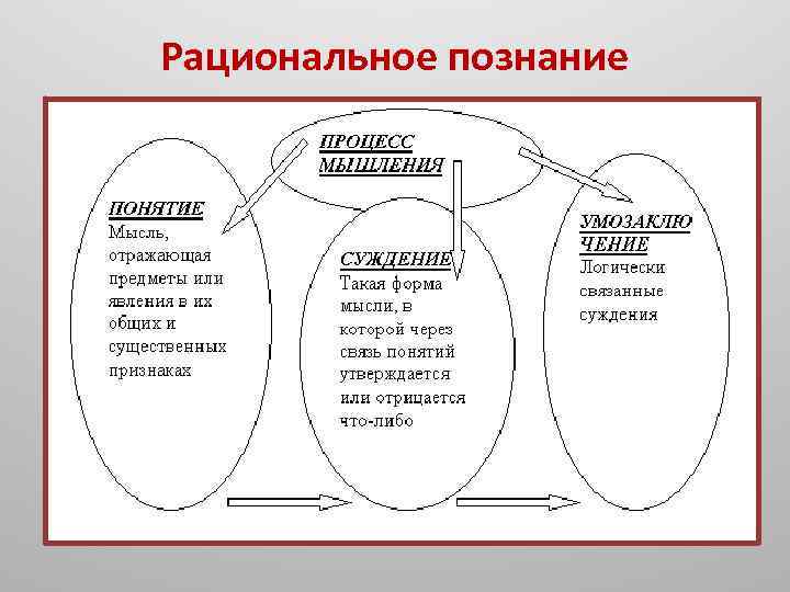 Рациональное познание 