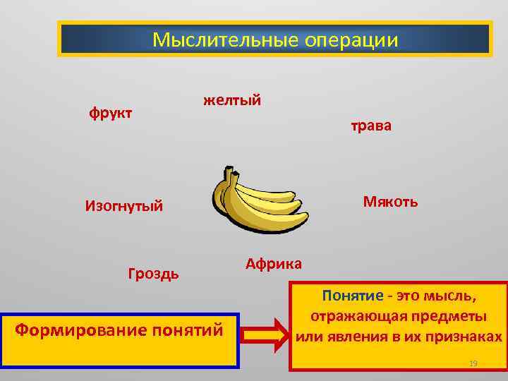 Мыслительные операции фрукт желтый трава Мякоть Изогнутый Гроздь Формирование понятий Африка Понятие - это