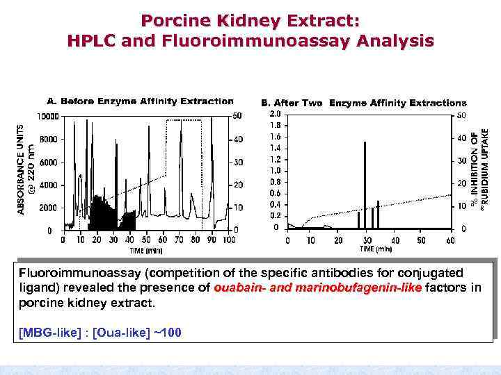 Porcine Kidney Extract: HPLC and Fluoroimmunoassay Analysis Fluoroimmunoassay (competition of the specific antibodies for