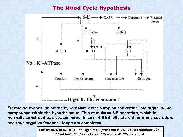The Mood Cycle Hypothesis + - Steroid hormones inhibit the hypothalamic Na+ pump by