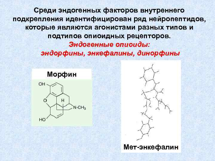 Среди эндогенных факторов внутреннего подкрепления идентифицирован ряд нейропептидов, которые являются агонистами разных типов и