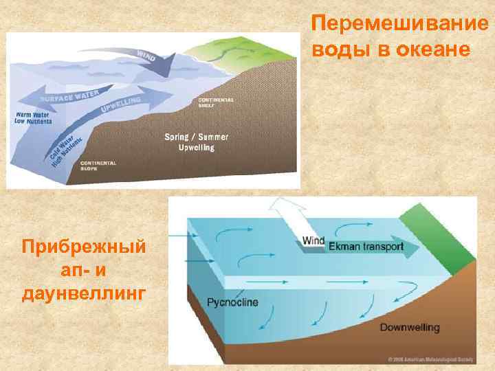 Перемешивание воды в океане Прибрежный ап- и даунвеллинг 