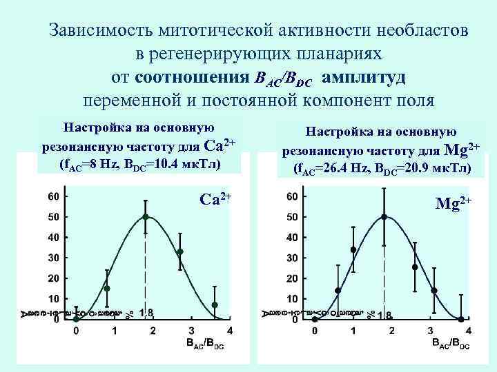 Зависимость митотической активности необластов в регенерирующих планариях от соотношения BAC/BDC амплитуд переменной и постоянной