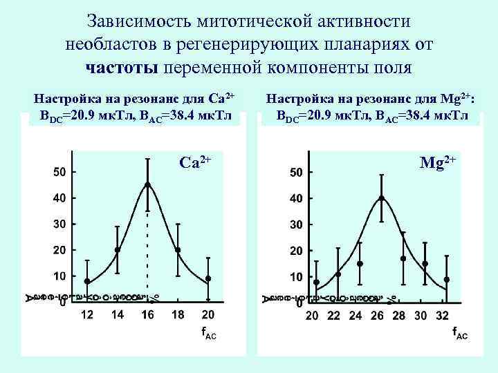 Зависимость митотической активности необластов в регенерирующих планариях от частоты переменной компоненты поля Настройка на