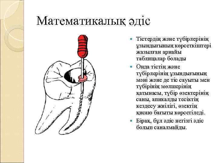 Математикалық әдіс Тістердің және түбірлерінің ұзындығының көрсеткіштері жазылған арнайы таблицалар болады Онда тістің және