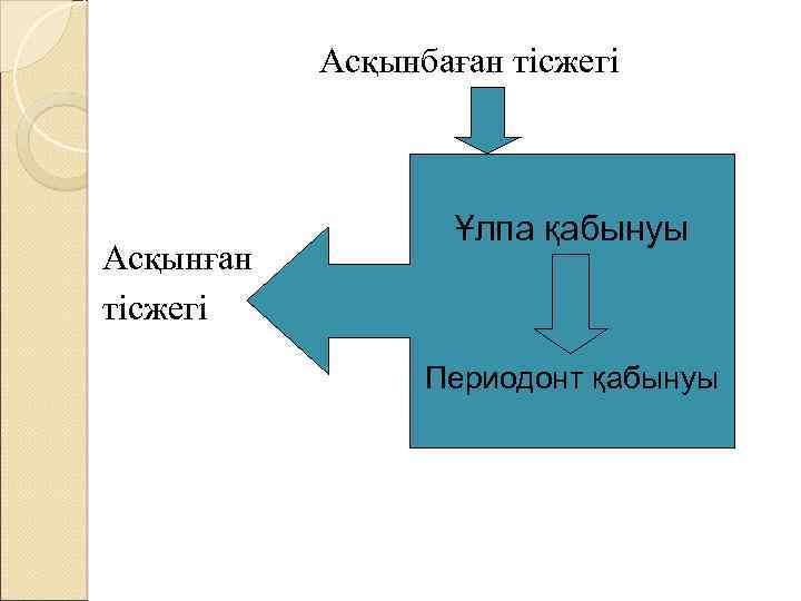 Асқынбаған тісжегі Асқынған тісжегі Ұлпа қабынуы Периодонт қабынуы 