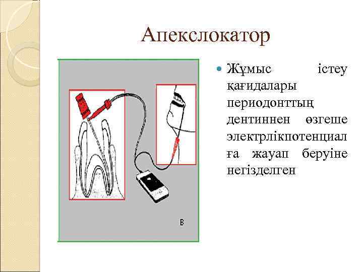 Апекслокатор Жұмыс істеу қағидалары периодонттың дентиннен өзгеше электрлікпотенциал ға жауап беруіне негізделген 