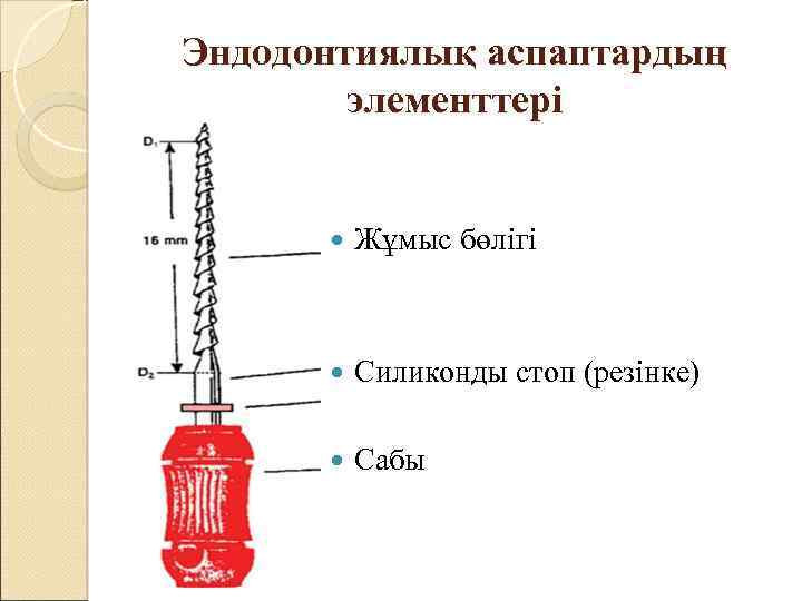 Эндодонтиялық аспаптардың элементтері Жұмыс бөлігі Силиконды стоп (резінке) Сабы 