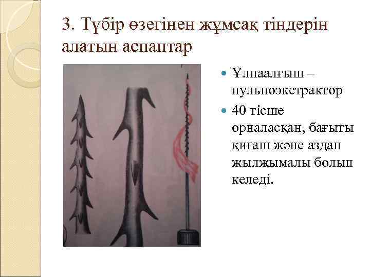 3. Түбір өзегінен жұмсақ тіндерін алатын аспаптар Ұлпаалғыш – пульпоэкстрактор 40 тісше орналасқан, бағыты