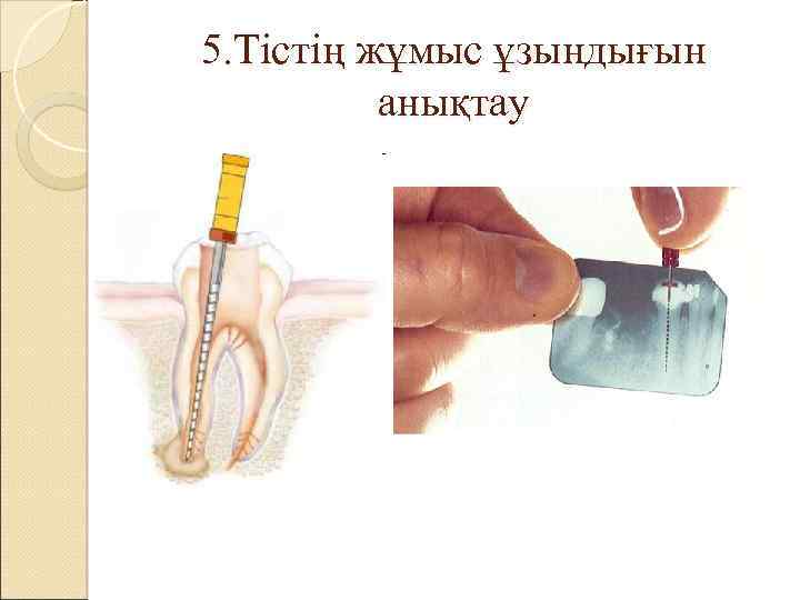 5. Тістің жұмыс ұзындығын анықтау 