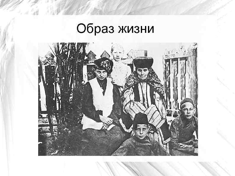 Образ жизни 