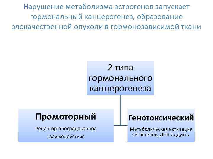 Нарушение метаболизма эстрогенов запускает гормональный канцерогенез, образование злокачественной опухоли в гормонозависимой ткани 2 типа